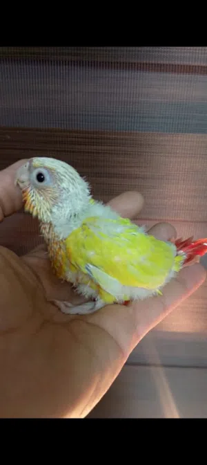 اقرا التفاصيل