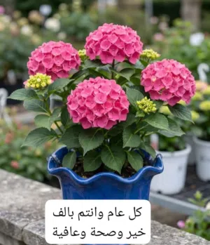 رابح غازي عيد الظاظا 