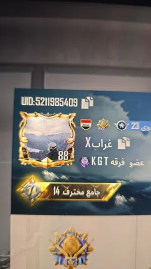 Pubg Accounts and Characters for Sale in Basra