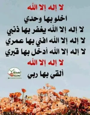 Mohamed Alaa 
