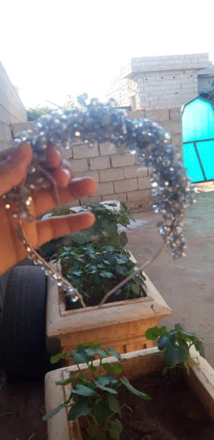 اكسسوارات شعر اكسسوارات