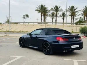BMW M6 Exposed roof 2013