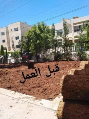 نجيل طبيعي امريكي M5