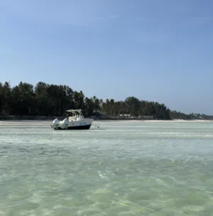 Saif 