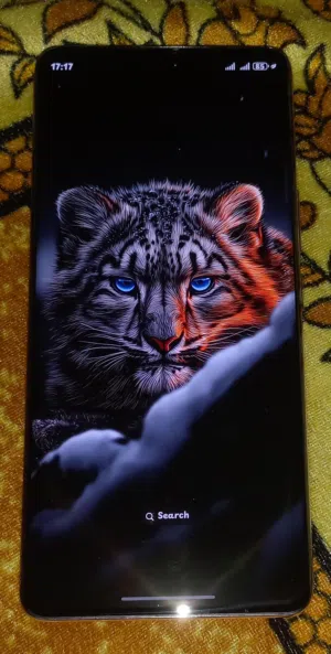 Honor Honor X9c 256 GB in Giza