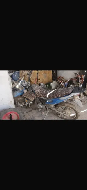 درجه ناريه سانيا صحروي