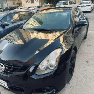 التيما كوبيا