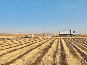 للبيع 8 فدان  الارض