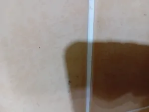3 Bedrooms . One Bathroom . 80 m20