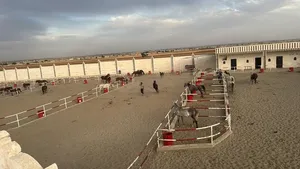 ‏خيل‏3