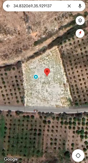 Farm Land for Sale in Tartous Other