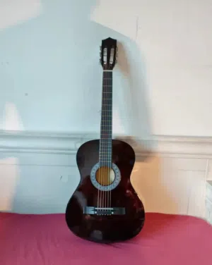 Acoustic Guitar [SALE] - Learn to Play Guitar