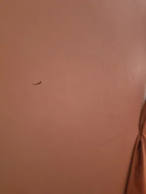 بيانو اورج 2000 شرقي نضيف للبيع مستعجل