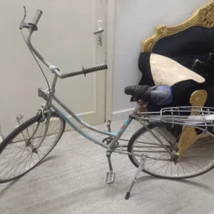 بسكليت فلكس