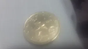 عمله 20 سنت يوريو اسباني