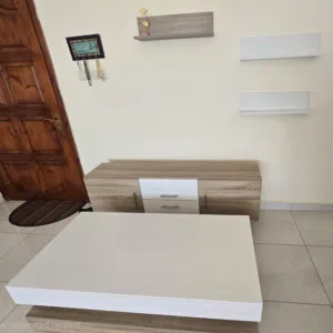 وحدة تلفزيون