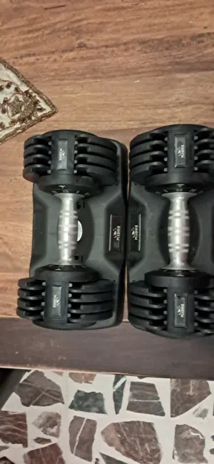 dumbbells2x brand flybird