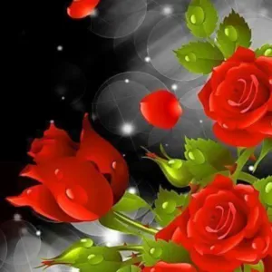 ابو عبد السلام عبيد