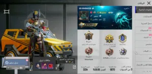Pubg Accounts and Characters for Sale in Sana'a