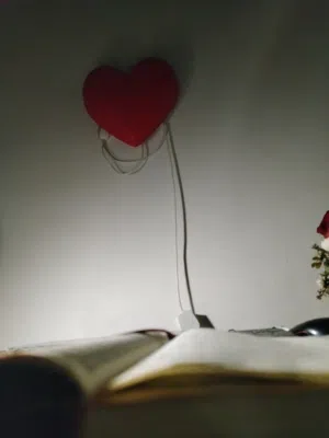 كنان نبيل 