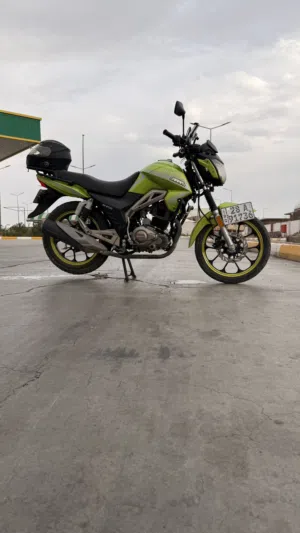 شاينك 250 مرقم