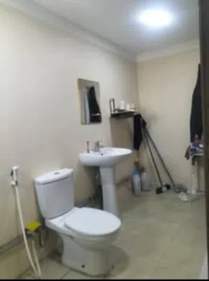 studio furnished flat for executive lady or couple
