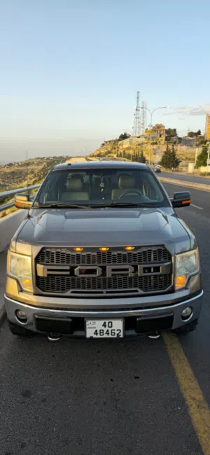 Used Ford F-150 in Salt
