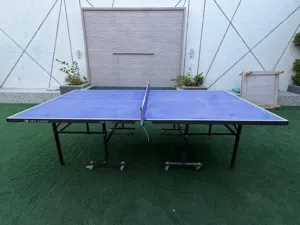 تنس طاولة بدون مضارب أو كورة