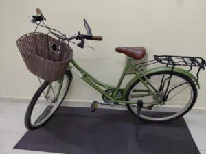 Coyote Windsor Ladies Classic Bike