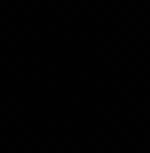 User20 
