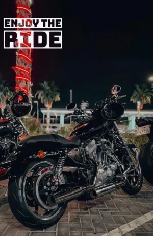 Harley Davidson . 1200 Custom . 20114