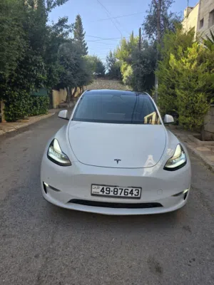Used Tesla Model Y in Amman