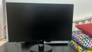 HP N246v Monitor in perfect condition barely used