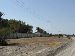 زراعية الرميس