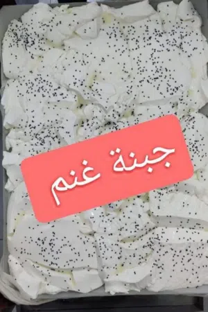 جبنه غنم بلديه 100%