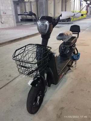 elictric scooter