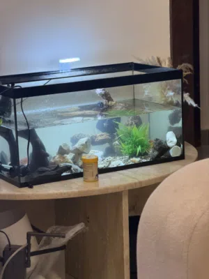 60 Cm fishtank for Sell