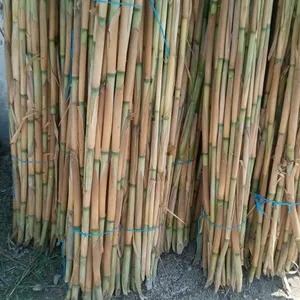 ‏مشاريع استثمارية ‏.‏ جديد‏1