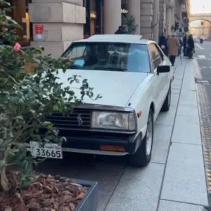 الصالحي 