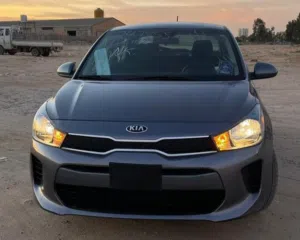محمد اسعد 