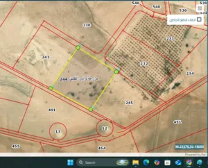 Mixed Use Land for Sale in Zarqa Dhlail