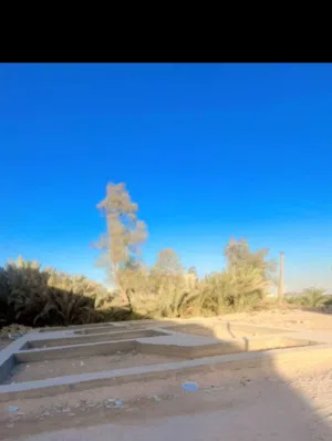 بتلو بسعر البلاااش قريب على توزيعات الطابو صرف