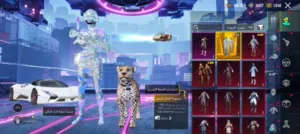 حساب ببجي للبيع