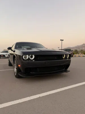 Used Dodge Challenger in Al Batinah