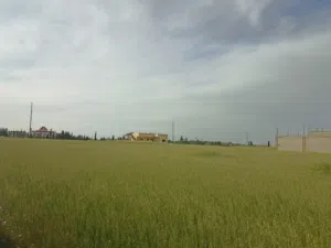 Residential Land for Sale in Amman Jelul