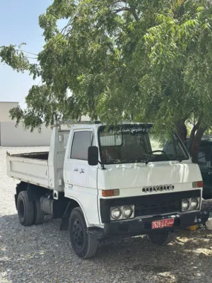 Used Toyota Dyna in Al Dakhiliya
