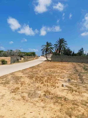 Commercial . 4250 m2 . Agent1