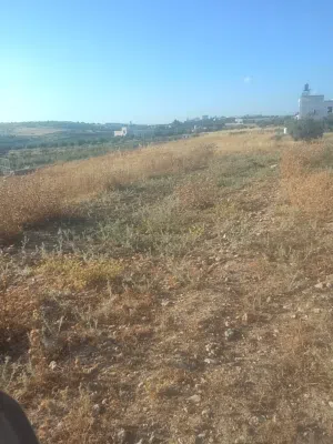 ارض سكنيه زراعيه للبيع