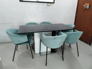 6 chair and 1 table