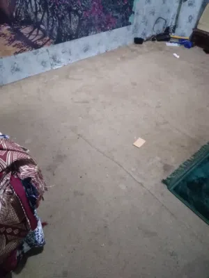 موكيت نظيف
